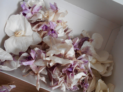 Květy orchideje - mix - SLEVA — foto 4