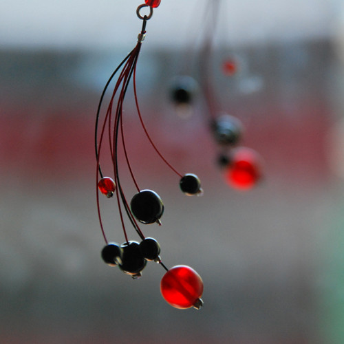 Rybízové černé — foto 3