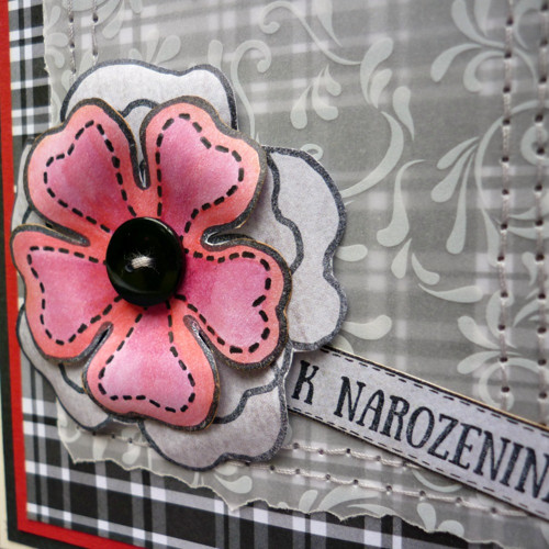 Přání: K narozeninám s láskou — foto 2