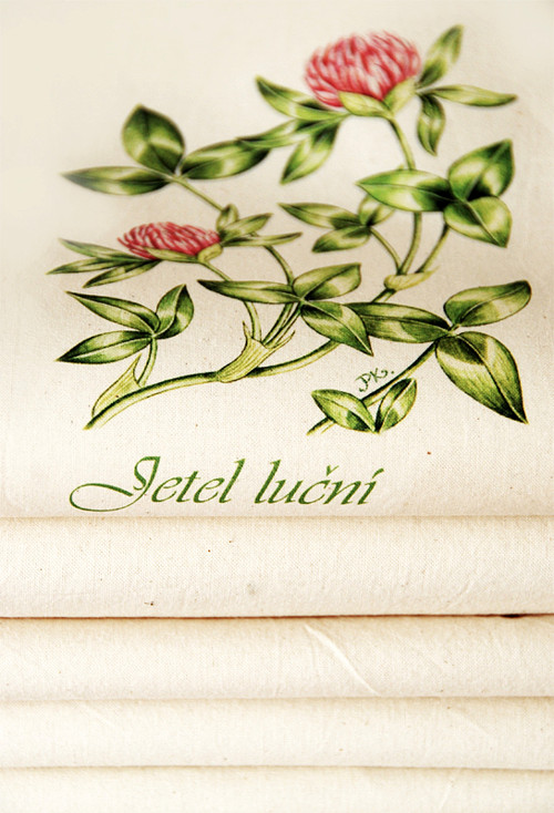 Jetel luční — foto 3