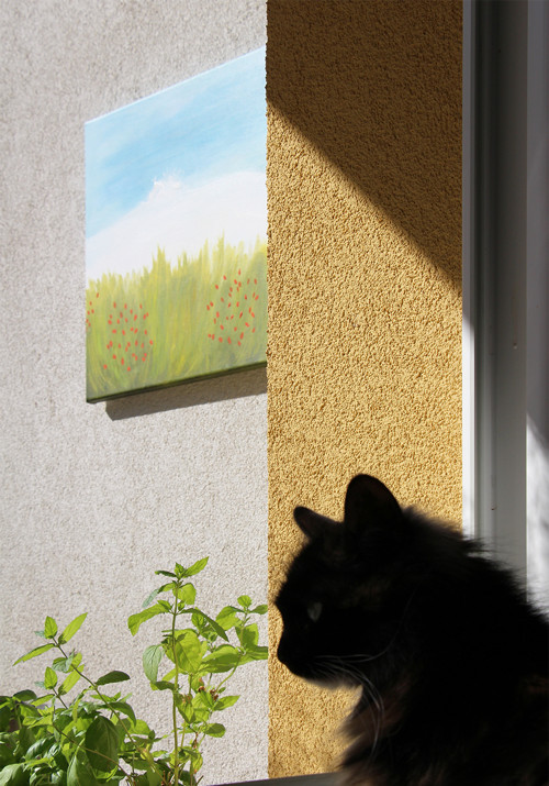 Za šípkem zima_na přání — foto 2