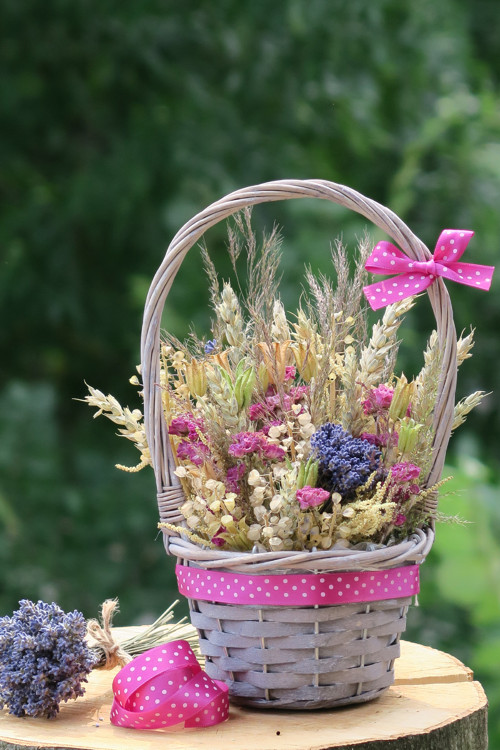 Provence... — foto 2