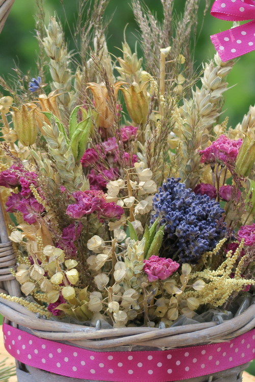 Provence... — foto 4