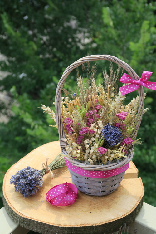 Provence... — foto 5