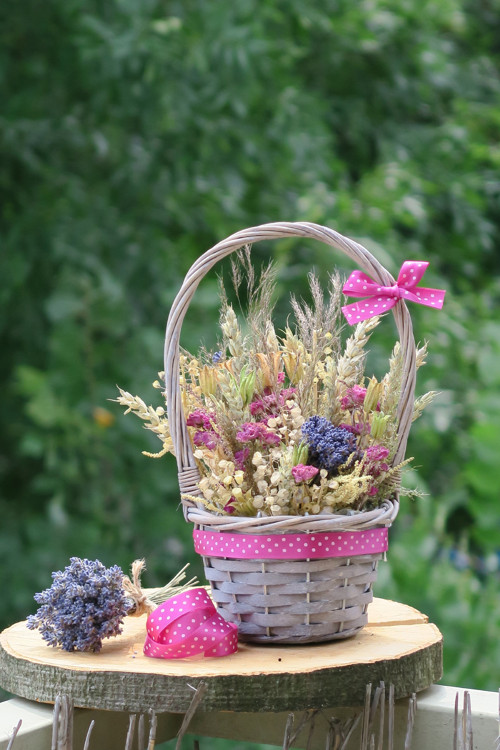 Provence... — foto 3