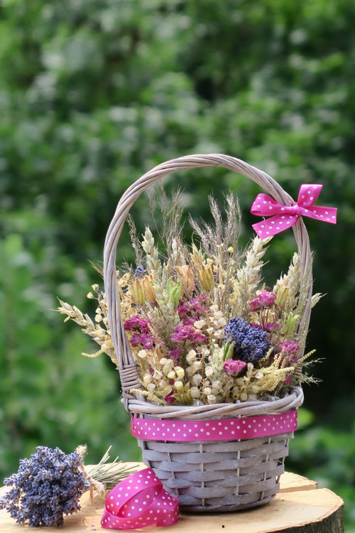 Provence... — foto 6