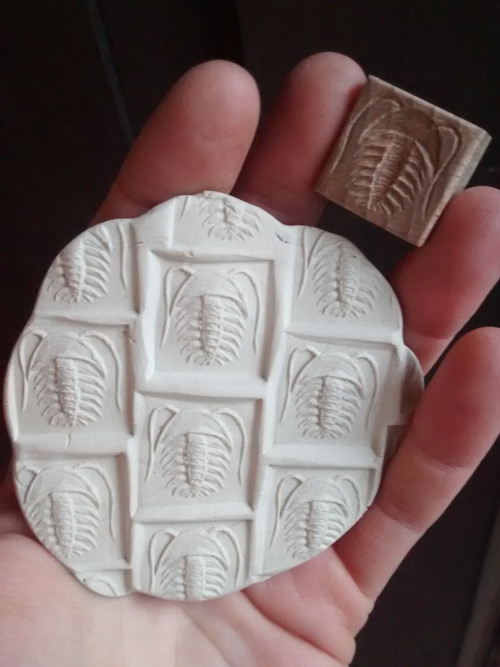 Raznička - trilobit, rezervace — foto 2