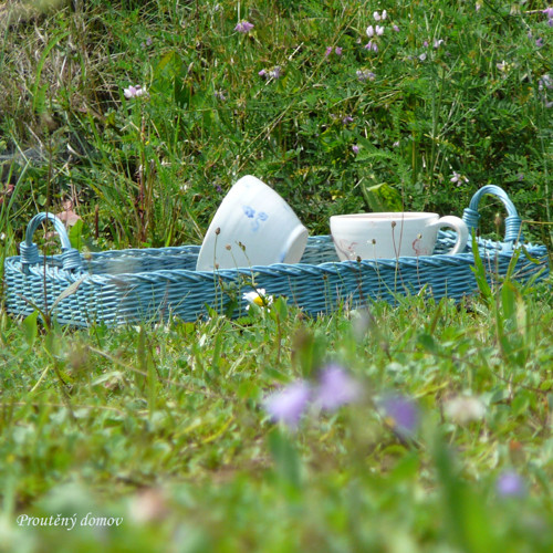 Podnos blankytný — foto 4