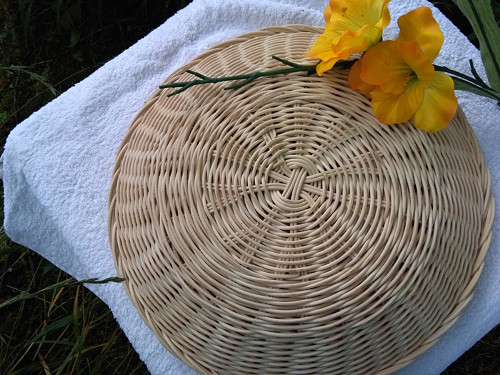 Ošatka č.5 — foto 4