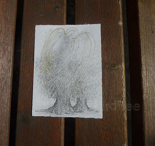 Ve stínu olivovníků — foto 2