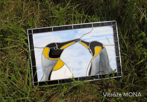 Tak to chodí u tučňáků — foto 3