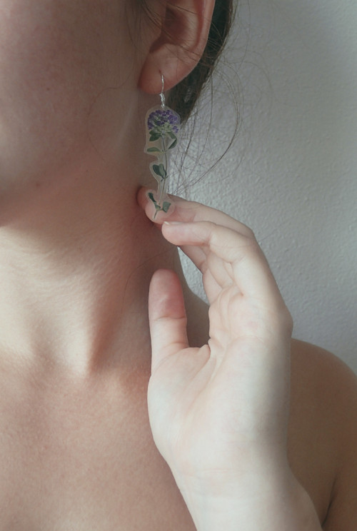 Thyme — foto 4