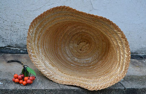 Cesty po strniskách ... — foto 3