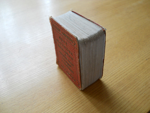 Kolibří slovníček — foto 6