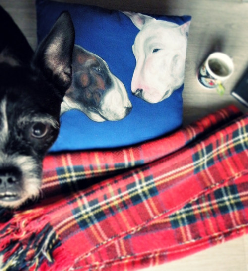 Bullie.....polštář — foto 6