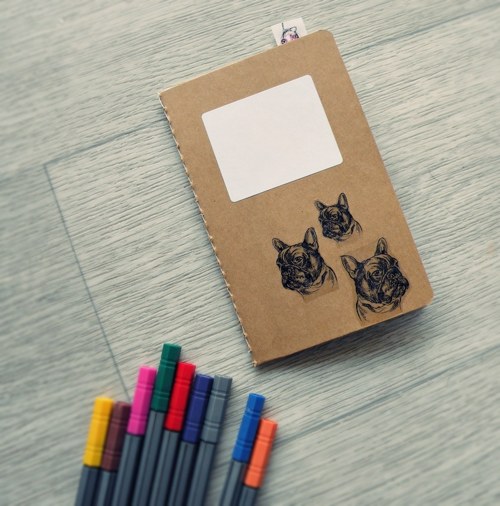 Buldočí..notes — foto 4