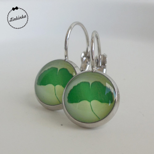 Ginkgo biloba — foto 2