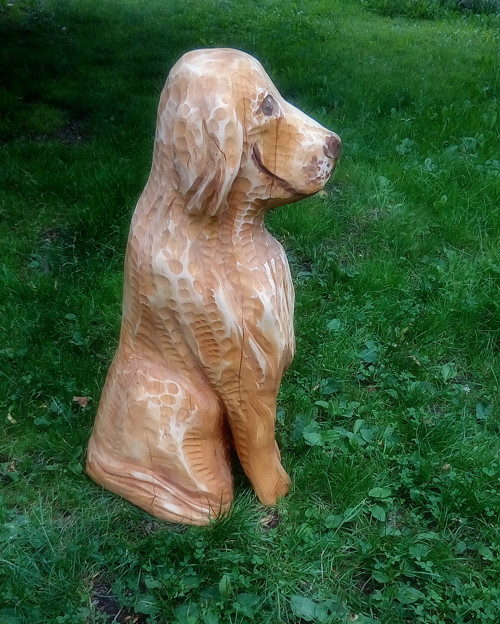 Hlídač dobrák — foto 3