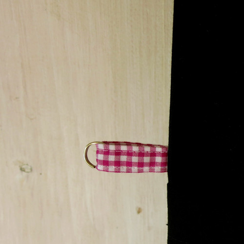 Kapsičkář na ramínku ....... kočičí — foto 3