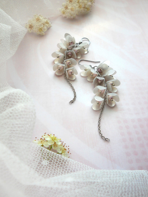 Wisteria mia... — foto 2