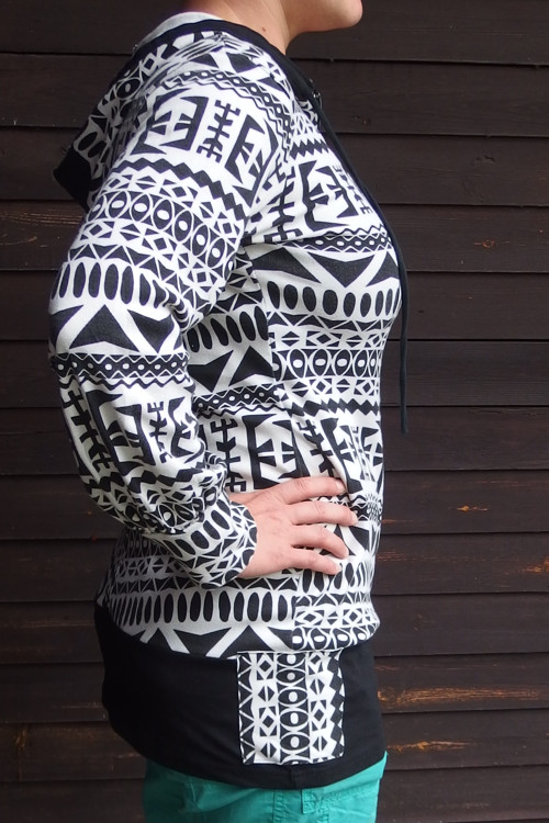Něco jako zebra... — foto 4