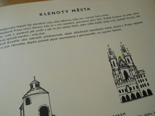 Krásná a slavná — foto 4
