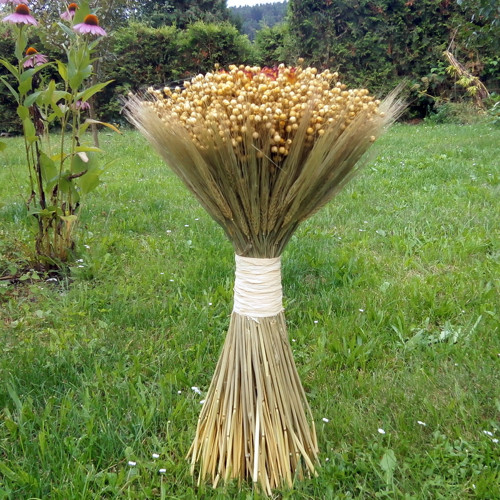 Na vysoké noze — foto 4