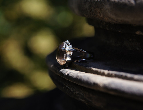 Nerezový prsten...." Brown Queen " — foto 3