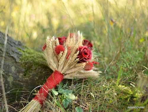 Červená Karkulka — foto 6