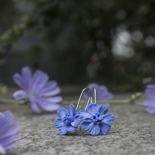 Čekanka obecná 1,6 cm — foto 3