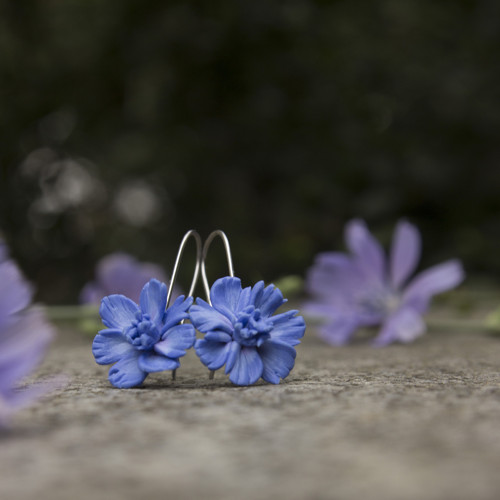 Čekanka obecná 1,6 cm — foto 5