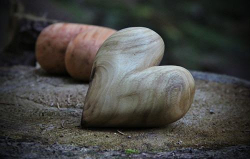 Akátové dlachňadlo — foto 5