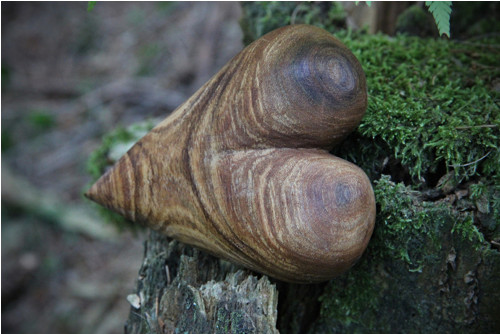 Jilmové dlachňadlo — foto 3