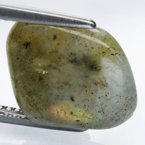 Labradorit -- Madagaskar -- 6,36ct — foto 2