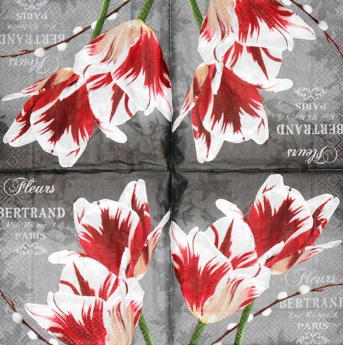 Ubrousek - růžovobílé tulipány — foto 3