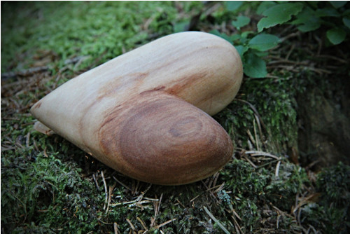 Jabloňové dlachňadlo — foto 2