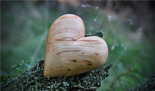 Olšové dlachňadlo — foto 5