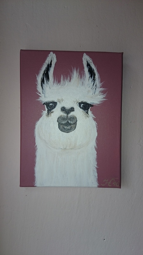 Lama! — foto 3