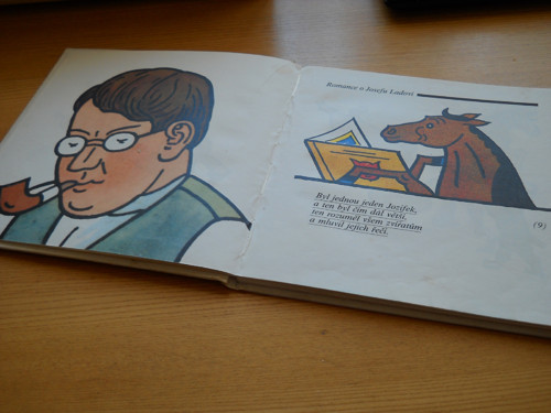 Máme rádi zvířata — foto 2