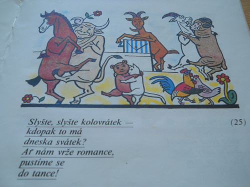 Máme rádi zvířata — foto 5