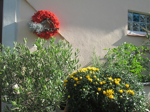 Zářivý — foto 4