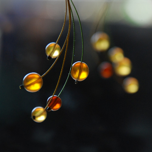 Medulienky — foto 2