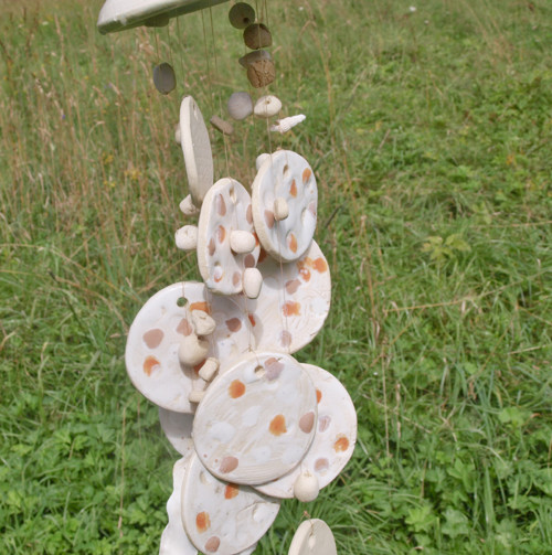 Zvonkohra - medůza — foto 5