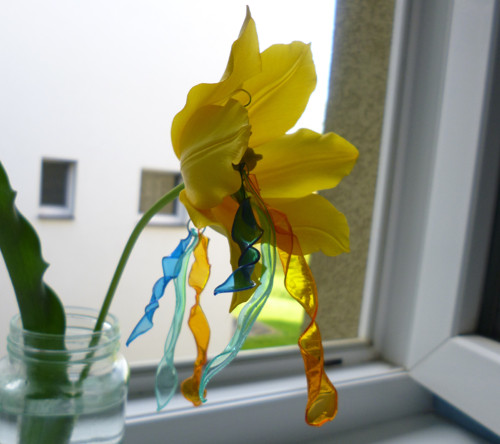 Když sluší narcisce.. ... — foto 2