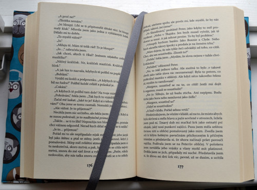 Obal Sherlock nebo Hercule? :) — foto 4