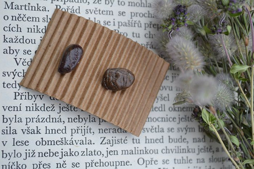 Milovat tu zem - náušnice — foto 3