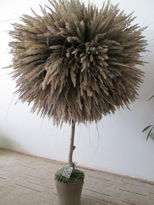 Strom — foto 2