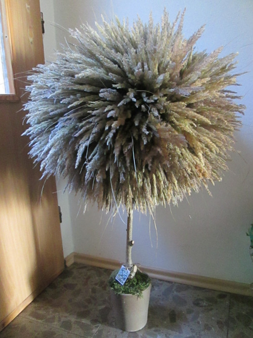 Strom — foto 3