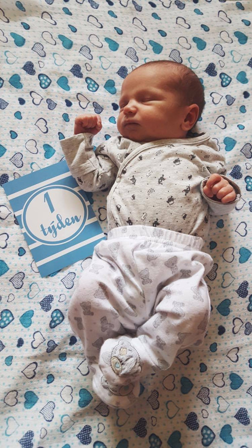 Modré milníkové kartičky — foto 2