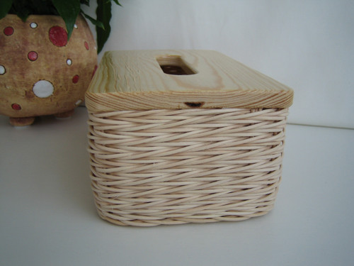 Kapesníkovník — foto 2